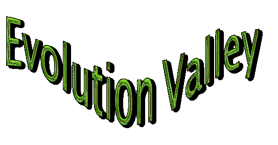 evolution valley